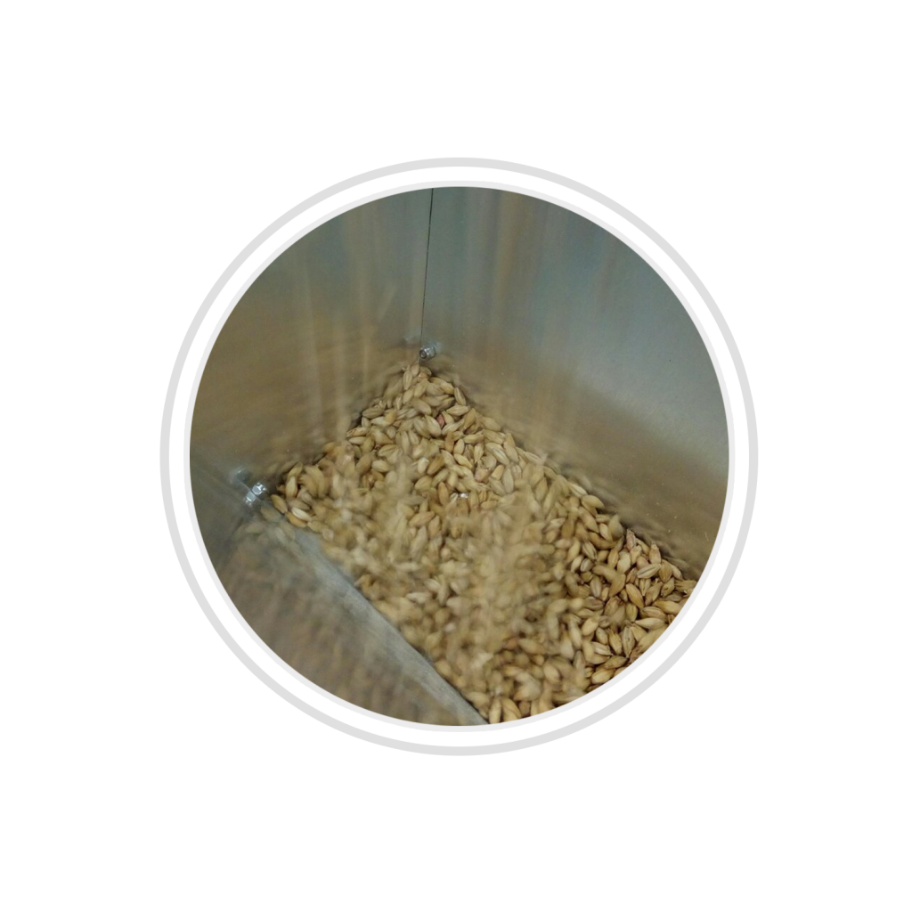 Belgabrew Yvegem beer crushed malts