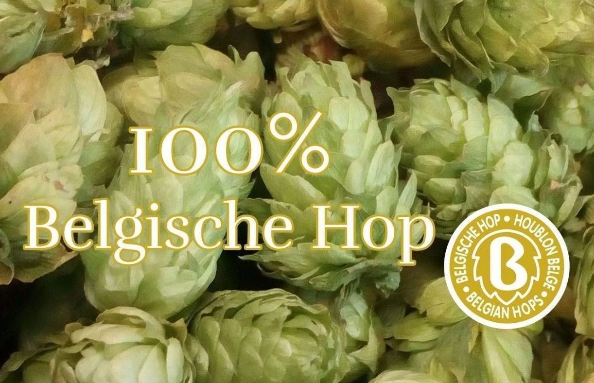 Belgabrew Yvegem bier 100% Belgische hop